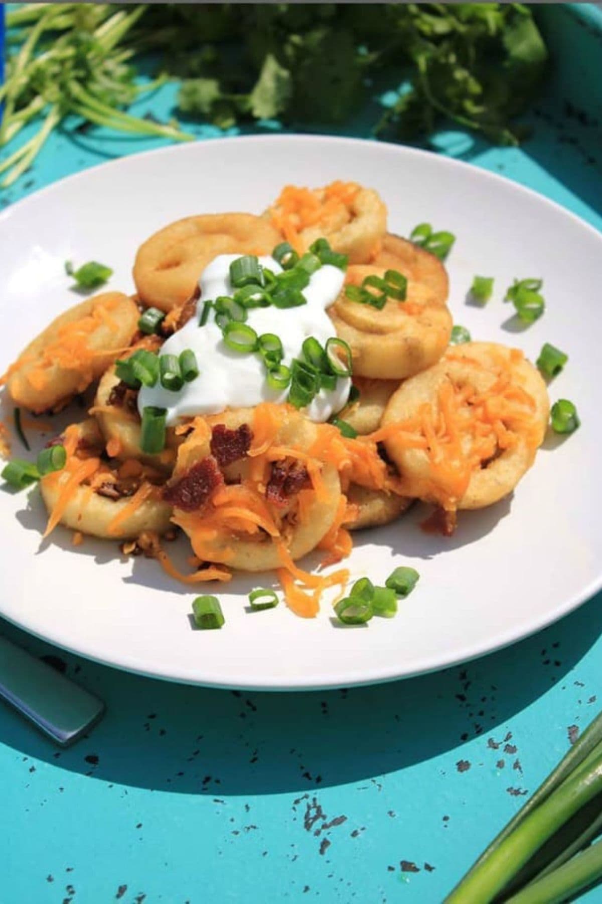 Are you enjoying the great outdoors this summer and wondering what to eat? Try some of these 20 Awesome Campfire Recipes!! Loaded fries on a plate.
